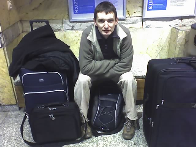 Domestic terminal